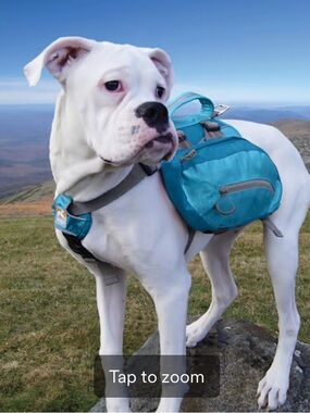 Kurgo Teal Dog Saddle Backpack Harness - medium dog